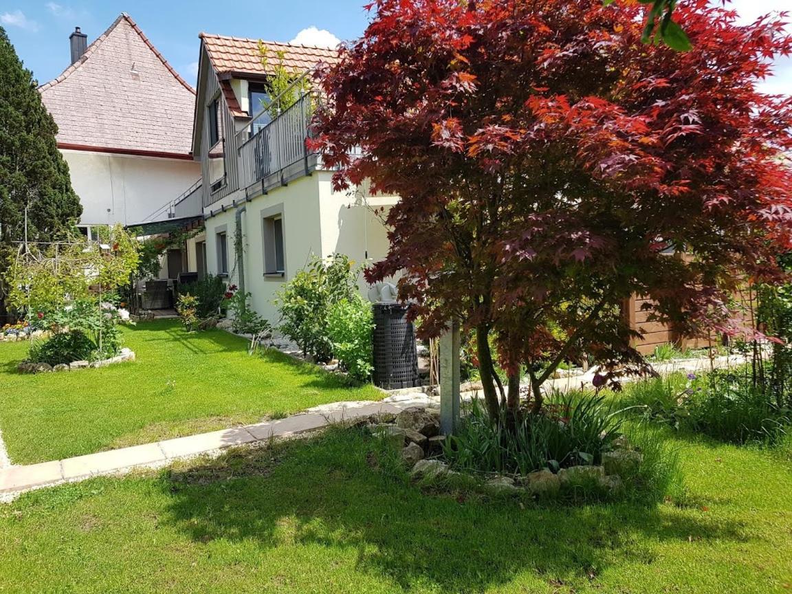 Bnb Comfort Guesthouse Olten - Lostorf Dış mekan fotoğraf
