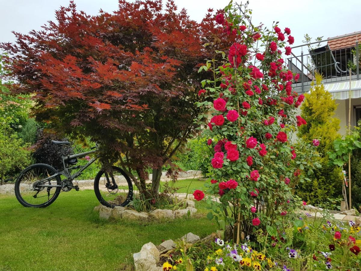 Bnb Comfort Guesthouse Olten - Lostorf Dış mekan fotoğraf