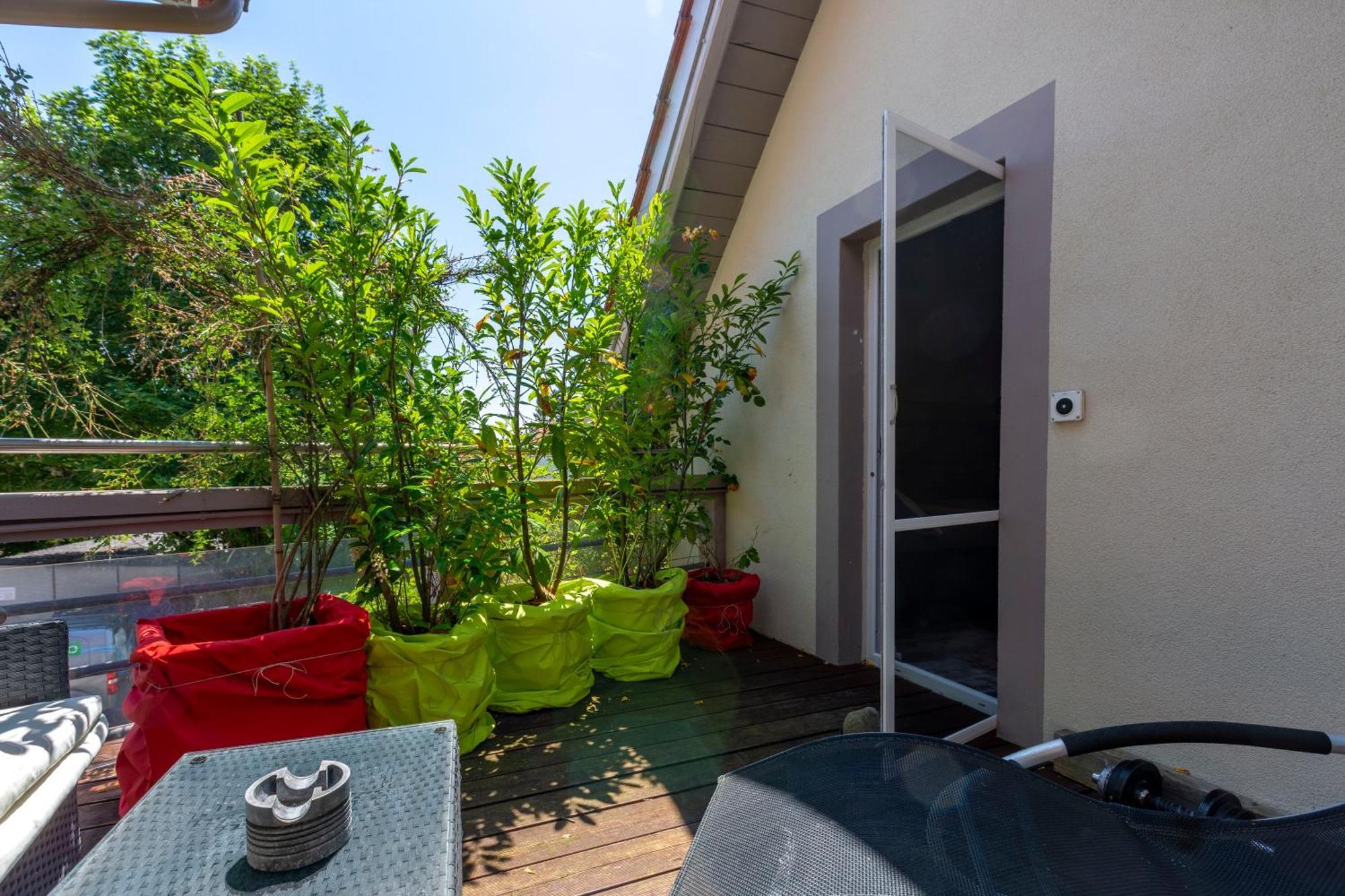 Bnb Comfort Guesthouse Olten - Lostorf Dış mekan fotoğraf