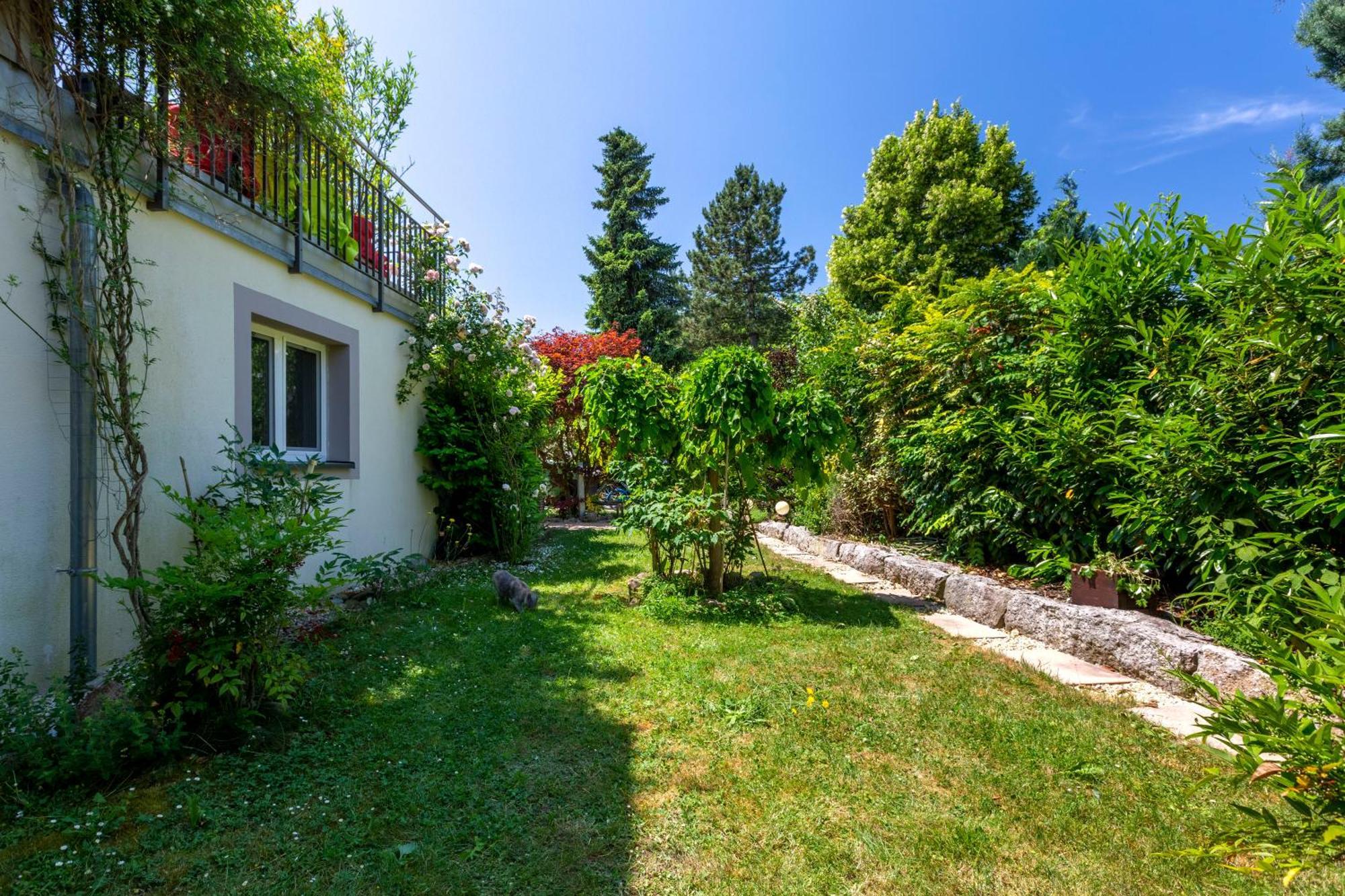 Bnb Comfort Guesthouse Olten - Lostorf Dış mekan fotoğraf